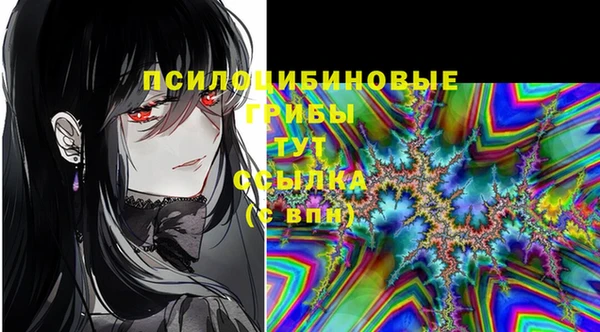 бошки Алзамай