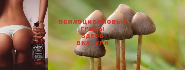 каннабис Абаза