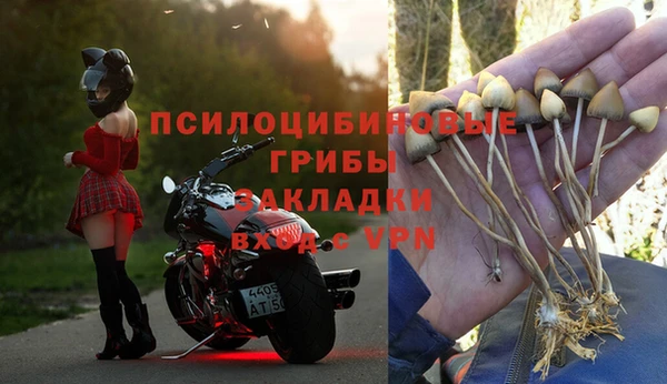 каннабис Абаза